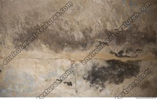 Photo Texture of Habu 0053